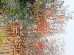 -田园印象·成都土菜院子(华阳店)