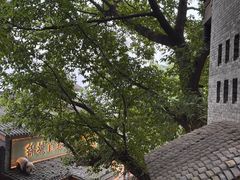 -重庆十八梯传统风貌区