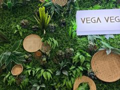 -VEGA VEGA 我行我素
