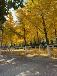 -Oasis Beauty水磨坊科技美肤中心