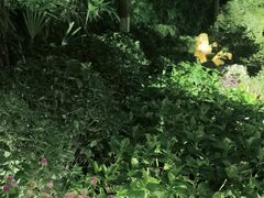 -大妙火锅·非物质文化遗产(东湖公园店)