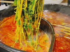 豌豆苗-钢管厂五区小郡肝火锅串串香(清河店)