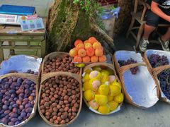 -青城甲(青城山店)