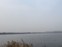 -天津金海湖