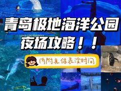 -海合安青岛极地海洋公园