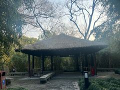 -上海方塔园