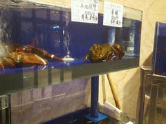 -頂好酒家·经典粤菜(海信广场店)