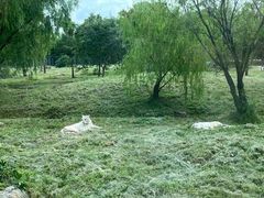 -上海野生动物园