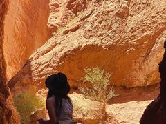 -天山神秘大峡谷