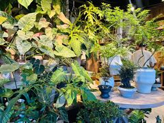 -自由生长植物工作室(深港花卉中心店)
