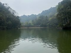 -青城山