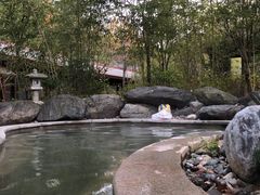 -楼观道温泉酒店