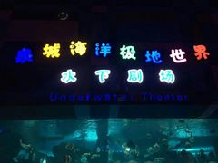 -泉城欧乐堡海洋极地世界