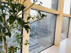 -净漪造型 PURE RIPPLE