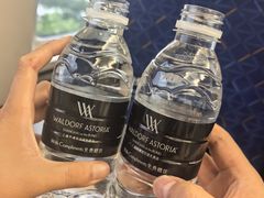 -上海外滩华尔道夫酒店