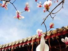 -北京市府学胡同小学