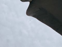 -西涌国际滨海旅游区