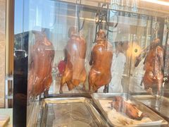 -金贵源食神(楚河汉街店)