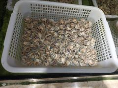 -南庄酒家·海鲜粤菜·25年老字号(环城南路店)
