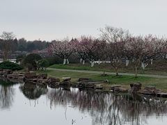 -上海海湾国家森林公园