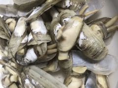 -杨记海鲜楼(三门黑金冠店)