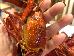 -古田会·肥肠鸡(古田店)