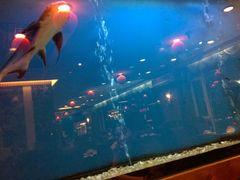 upload_pic-午月海鲜烧烤酒店(不老街店)