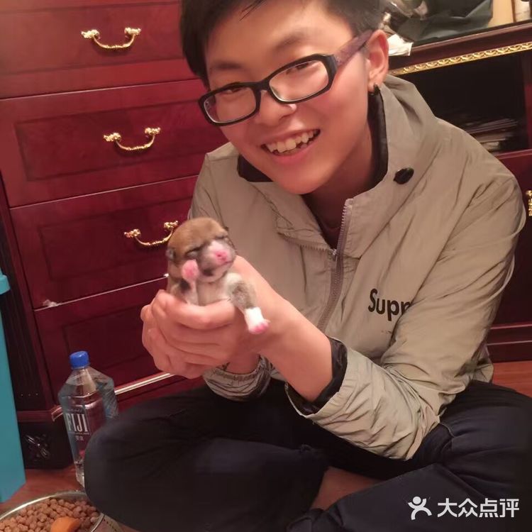 图四就是讨人厌的路飞啦，年纪越大越戏精…
