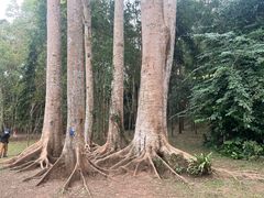 -中国科学院西双版纳热带植物园