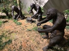 -北京周口店北京人遗址博物馆