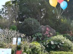 -乌山风景区