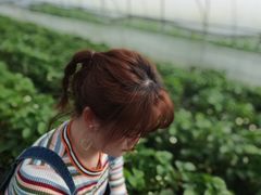 -南京市无想山景区