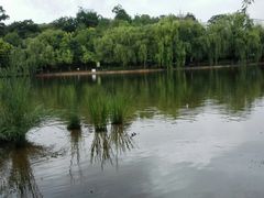 -月牙潭公园