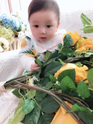 -蜜糖派儿童摄影(青建·太阳岛店)