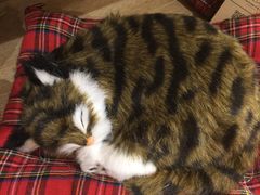 -玛芝莲(领秀店)