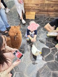 -Zoolung Zoolung动物主题公园(海信广场店)