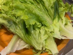 -龍歌自助小火锅(李沧丽达店)