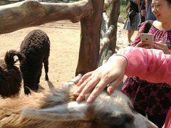 -西安秦岭野生动物园