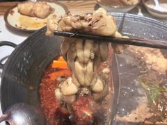 -老天桥蛙炉火锅(姑苏总店)