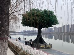 -咸阳湖景区