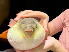 -肆月河豚·淮扬菜·湘菜(华天店)