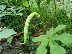 -会稽山峡洞漂流-上青古道