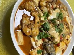 -煲来饱去冷水鱼