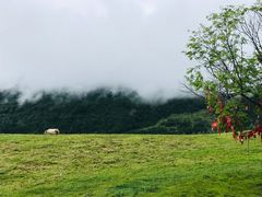 -硗碛藏寨·神木垒景区