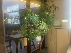 -艾耳堂·采耳头疗SPA(蟠龙天地店)