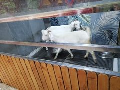 -上海大自然野生昆虫馆(东方明珠·爬宠昆虫探索中心)