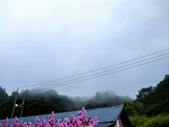 -大围山国家森林公园