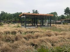 -洪湖家庭农场·团建·露营·会议