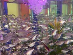 -如家酒店(北京师范大学积水潭店)