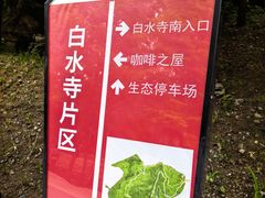 -白水寺森林公园